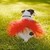 :iconwebkinzxcollies: