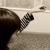 :iconwebless-world: