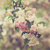 :iconwebsitegoodies:
