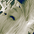 :iconwednesday-lior:
