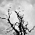 :iconweekendtempest: