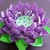 :iconweepingwillow123: