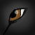 :iconwega123451: