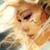 :iconwei-chen: