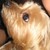 :iconweidy04: