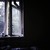 :iconweird-owl: