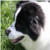 :iconweirdemotion: