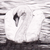 :iconweirdou: