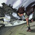:iconweisblade: