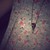 :iconwelcome-to-mystery: