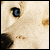 :iconwelcometochicagox: