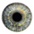 :iconwelcometotown: