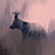 Welcu :iconwelcu: