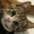 :iconwell-okay-then: