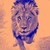 :iconwell8965: