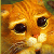 :iconwellahart: