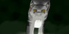 :iconwelove-warriors: