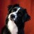 :iconwenckebach:
