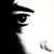 :iconwendellg:
