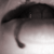 :iconwendidnew: