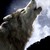 :iconwendsdaywolf: