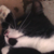 :iconwendyslife: