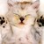 :iconwendywei2012: