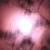 :iconWentel: