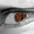 :iconwenzellium: