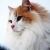 :iconwerdna2k4: