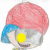 :iconwere-nessrapefaceplz: