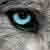 :iconwerebeastproject: