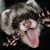 :iconwereferret2431: