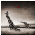 weregiraffe :iconweregiraffe: