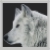 Werewolf79 :iconwerewolf79: