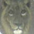 :iconwerewolfone: