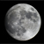 :iconwerewolftango: