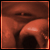 :iconwernermarkus: