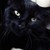 :iconweryshadow: