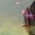 :iconwesaydisco: