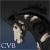 :iconwest-irish-stud: