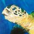 :iconwest017: