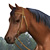 :iconwesternhorse-game: