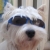 :iconwestoll: