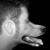 :iconwestsidemike1973: