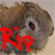 :iconwetbunnyplz: