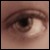 :iconwethead: