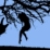 :iconweto429: