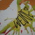 :iconwewe20: