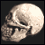 :iconwex666: